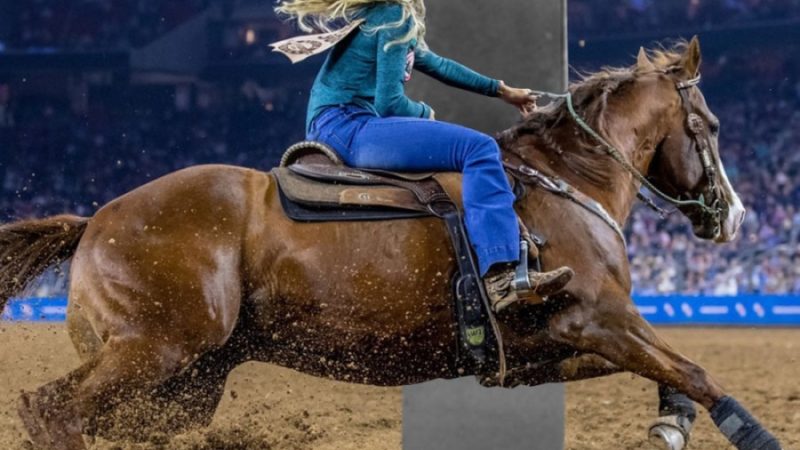 JUST IN: Houston Livestock Show and Rodeo announces 2021 season cancellation