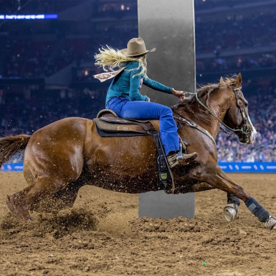 JUST IN: Houston Livestock Show and Rodeo announces 2021 season cancellation