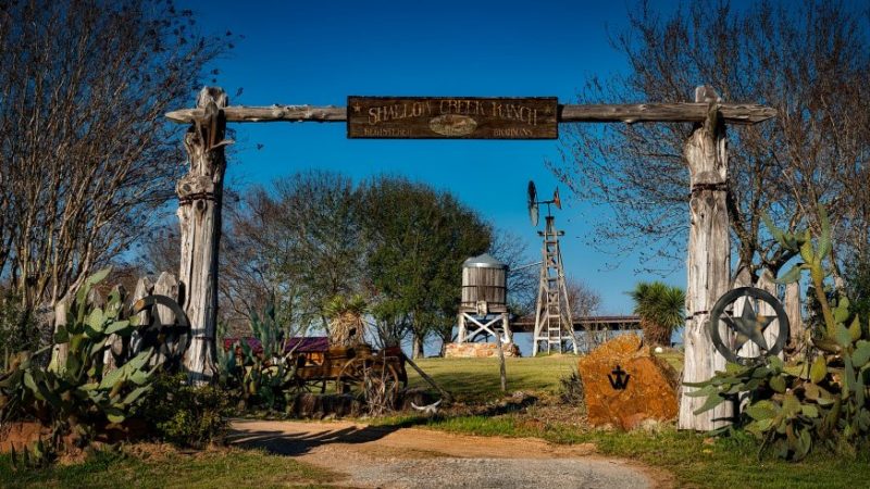 Pandemic Drives Rural Land Sales In Texas